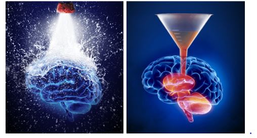 neurociencia.JPG